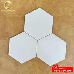 GẠCH BÔNG LỤC GIÁC 200X230MM CSFL 201